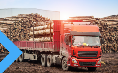 Wereldwijd houttransport inzichtelijk met handelspakket en planningstool