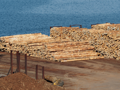Wereldwijd houttransport inzichtelijk met handelspakket en planningstool
