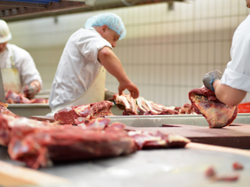 Varkensvleeshandel verlaagt kosten boekhouding