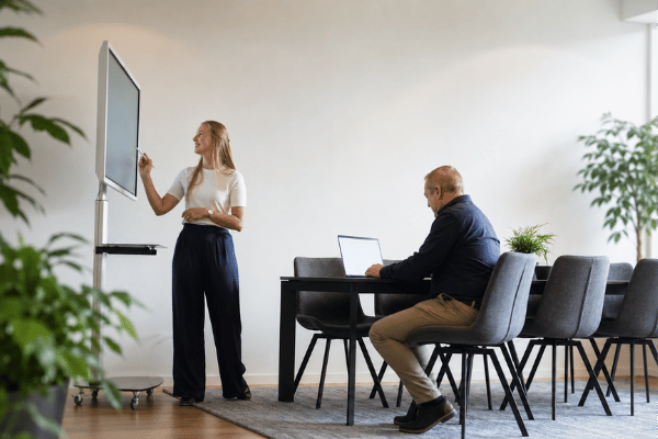exact online consultant tomfin